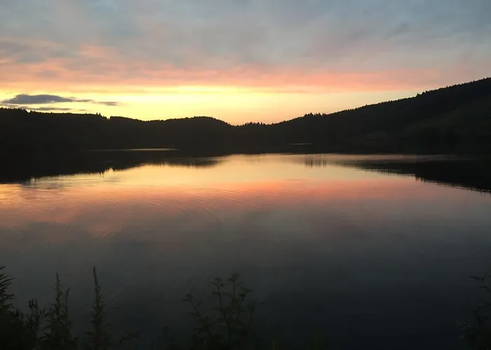 Mont-dore: F3 40m², Parking, 4 Pers, Pres Thermes - Fr-1-415-197 Apartment Le Mont-Dore